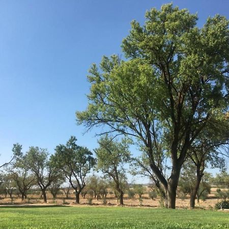 Finca El Relax Colmenar de Oreja 외부 사진