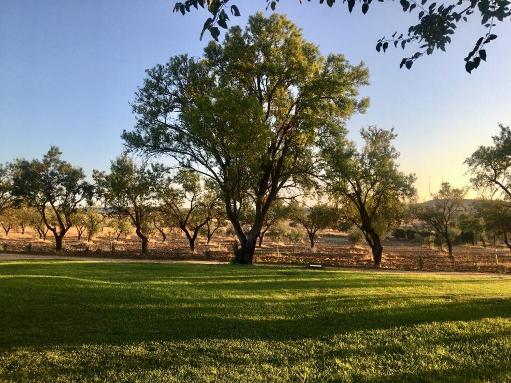 Finca El Relax Colmenar de Oreja 외부 사진