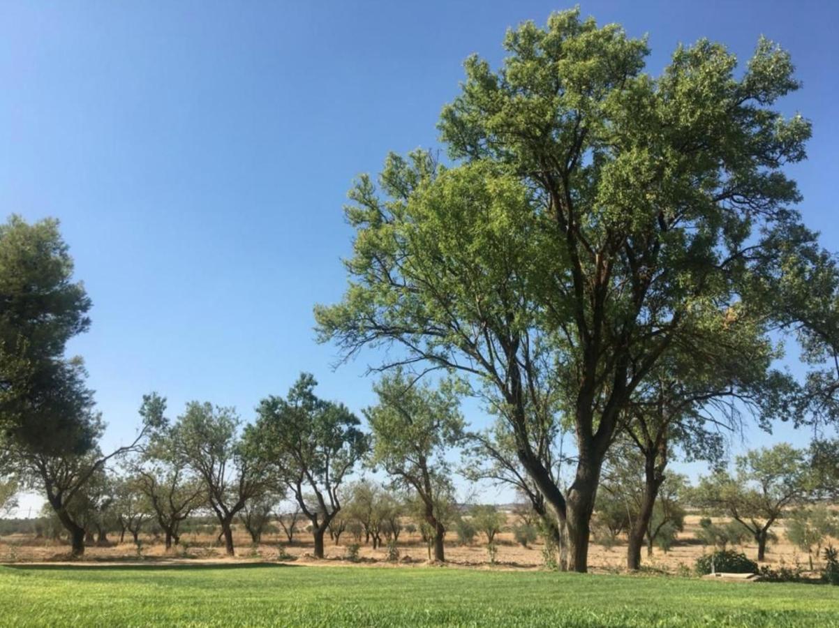 Finca El Relax Colmenar de Oreja 외부 사진